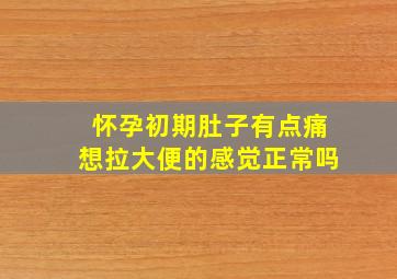 怀孕初期肚子有点痛想拉大便的感觉正常吗