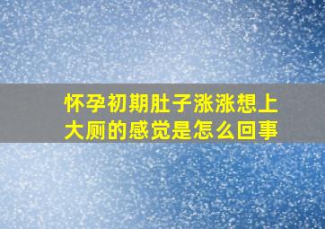 怀孕初期肚子涨涨想上大厕的感觉是怎么回事