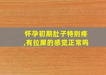 怀孕初期肚子特别疼,有拉屎的感觉正常吗