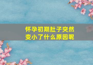 怀孕初期肚子突然变小了什么原因呢