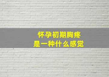 怀孕初期胸疼是一种什么感觉