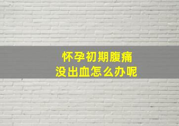 怀孕初期腹痛没出血怎么办呢