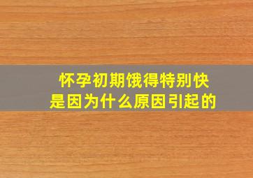 怀孕初期饿得特别快是因为什么原因引起的