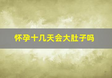 怀孕十几天会大肚子吗