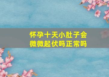 怀孕十天小肚子会微微起伏吗正常吗