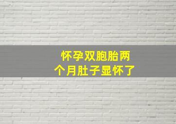 怀孕双胞胎两个月肚子显怀了