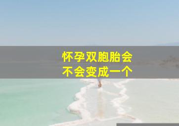 怀孕双胞胎会不会变成一个