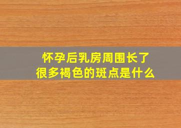 怀孕后乳房周围长了很多褐色的斑点是什么