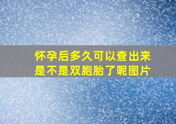 怀孕后多久可以查出来是不是双胞胎了呢图片