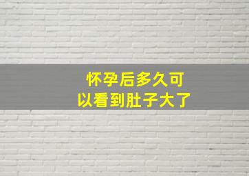 怀孕后多久可以看到肚子大了