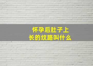 怀孕后肚子上长的纹路叫什么