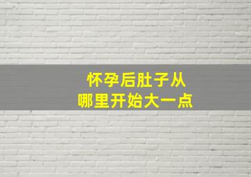 怀孕后肚子从哪里开始大一点