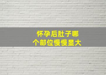 怀孕后肚子哪个部位慢慢显大