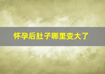 怀孕后肚子哪里变大了