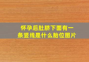 怀孕后肚脐下面有一条竖线是什么胎位图片