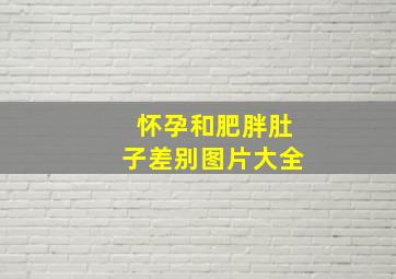 怀孕和肥胖肚子差别图片大全