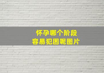 怀孕哪个阶段容易犯困呢图片