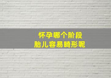 怀孕哪个阶段胎儿容易畸形呢