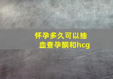 怀孕多久可以抽血查孕酮和hcg