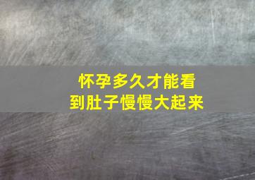 怀孕多久才能看到肚子慢慢大起来