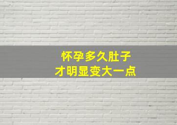 怀孕多久肚子才明显变大一点