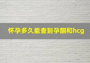 怀孕多久能查到孕酮和hcg