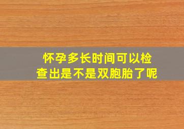 怀孕多长时间可以检查出是不是双胞胎了呢