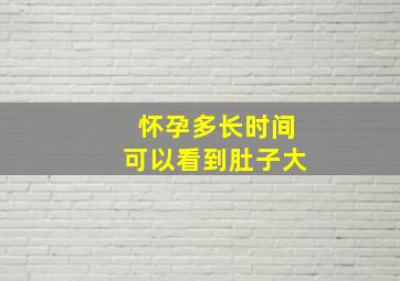 怀孕多长时间可以看到肚子大