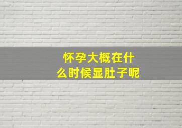 怀孕大概在什么时候显肚子呢