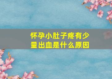 怀孕小肚子疼有少量出血是什么原因