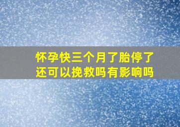 怀孕快三个月了胎停了还可以挽救吗有影响吗