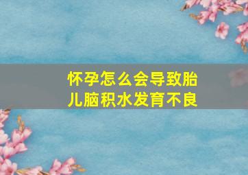 怀孕怎么会导致胎儿脑积水发育不良