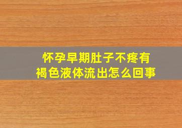 怀孕早期肚子不疼有褐色液体流出怎么回事