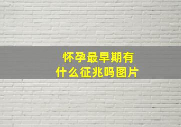 怀孕最早期有什么征兆吗图片