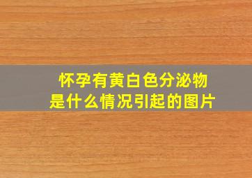 怀孕有黄白色分泌物是什么情况引起的图片