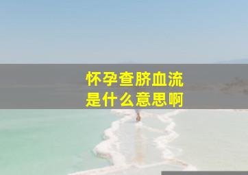 怀孕查脐血流是什么意思啊