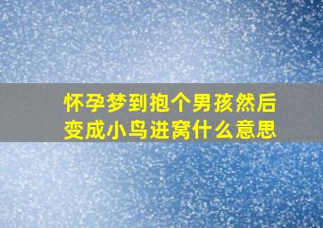 怀孕梦到抱个男孩然后变成小鸟进窝什么意思