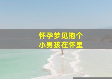 怀孕梦见抱个小男孩在怀里