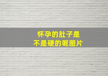 怀孕的肚子是不是硬的呢图片