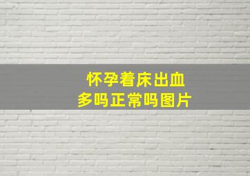 怀孕着床出血多吗正常吗图片