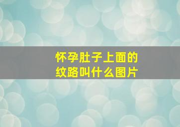 怀孕肚子上面的纹路叫什么图片