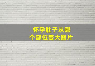 怀孕肚子从哪个部位变大图片