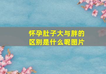 怀孕肚子大与胖的区别是什么呢图片