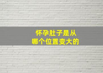 怀孕肚子是从哪个位置变大的