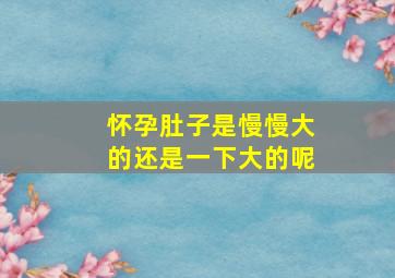 怀孕肚子是慢慢大的还是一下大的呢