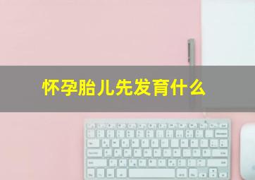 怀孕胎儿先发育什么