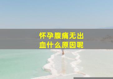 怀孕腹痛无出血什么原因呢