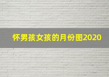 怀男孩女孩的月份图2020