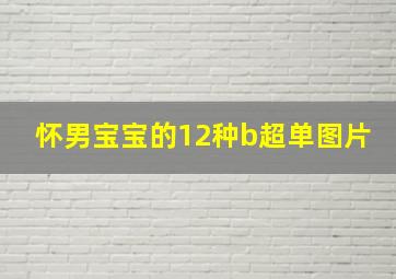 怀男宝宝的12种b超单图片