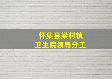 怀集县梁村镇卫生院领导分工